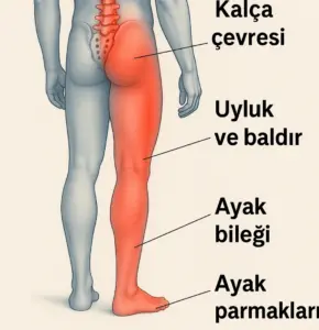 bel-fitigi-el-uyusmasi-yapar-mi