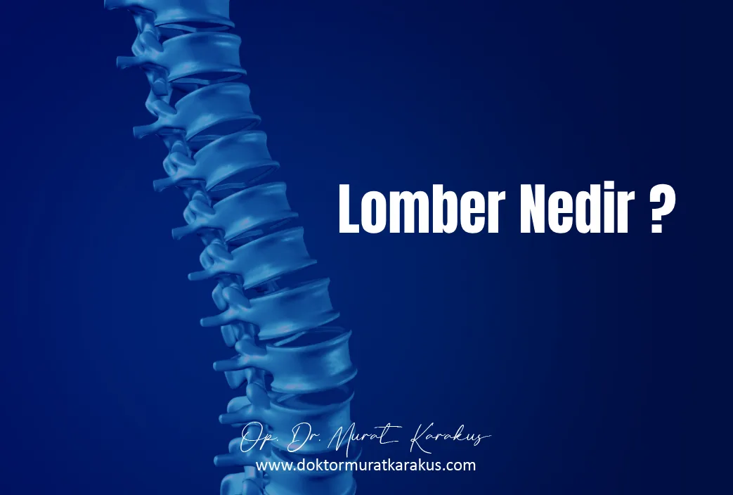 lomber-disk-nedir